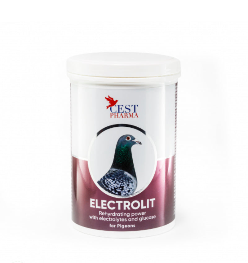 ELECTROLIT 600G
