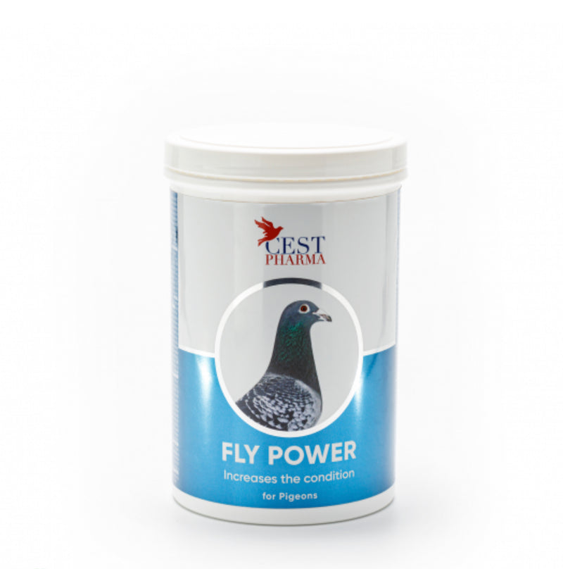 FLY POWER 600G