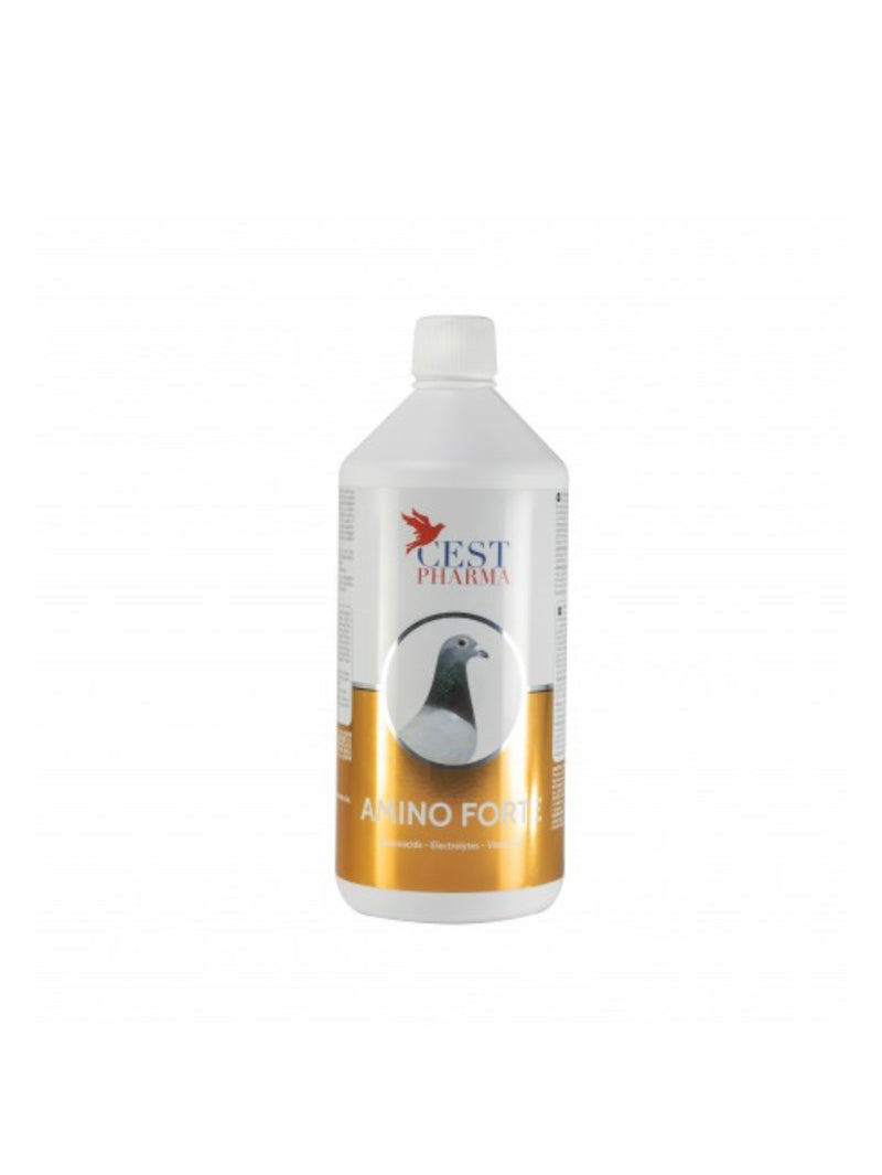 AMINO FORTE 1000ML