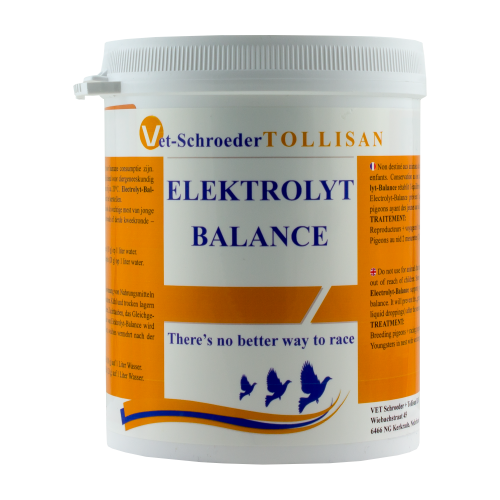 Electrolyt-Balance 500g